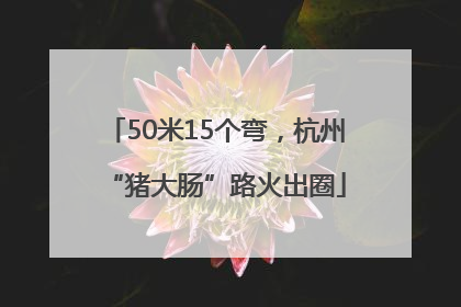 50米15个弯，杭州“猪大肠”路火出圈