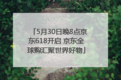 5月30日晚8点京东618开启 京东全球购汇聚世界好物