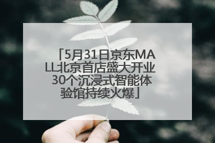 5月31日京东MALL北京首店盛大开业 30个沉浸式智能体验馆持续火爆