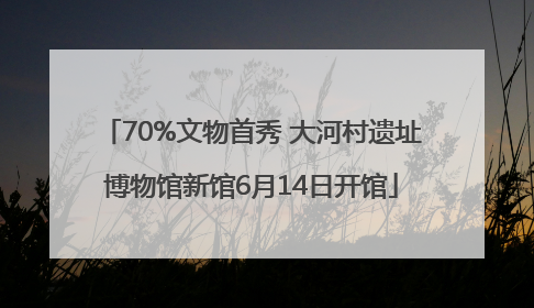 70%文物首秀 大河村遗址博物馆新馆6月14日开馆