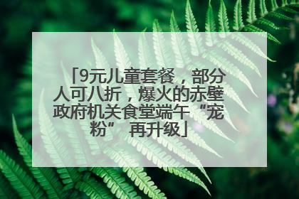 9元儿童套餐，部分人可八折，爆火的赤壁政府机关食堂端午“宠粉” 再升级