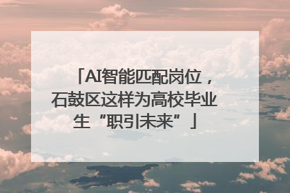 AI智能匹配岗位，石鼓区这样为高校毕业生“职引未来”
