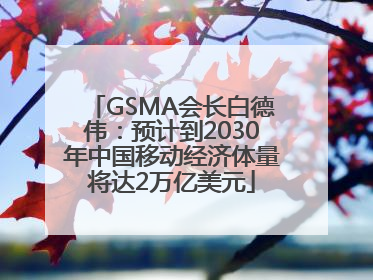 GSMA会长白德伟：预计到2030年中国移动经济体量将达2万亿美元