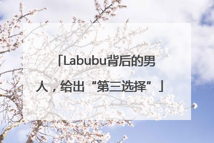 Labubu背后的男人，给出“第三选择”