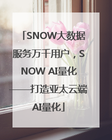 SNOW大数据服务万千用户，SNOW AI量化——打造亚太云端AI量化