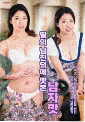 第十二次日落剧集封面